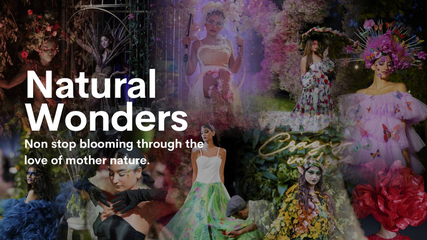 Natural Wonders — non stop blooming through the love of mother nature
